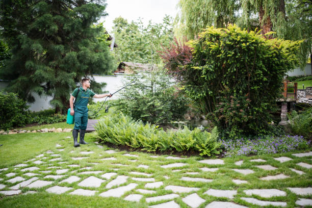 Best Mosquito Control Services  in Fayette, OH