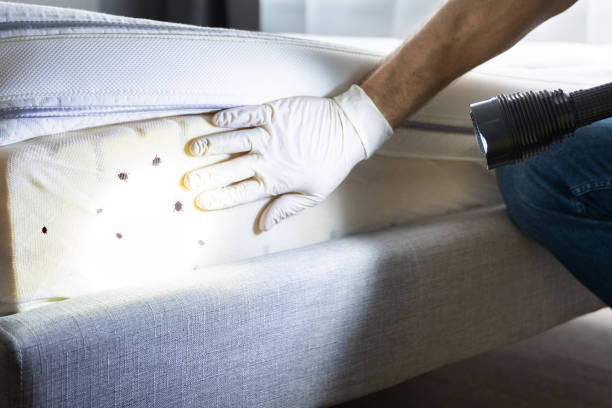 Best Insect Control  in Fayette, OH