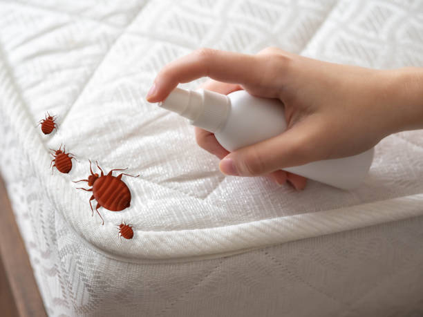 Best Flea Control Services  in Fayette, OH