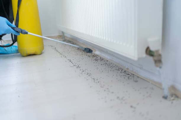 Best Pest Control for Homes  in Fayette, OH