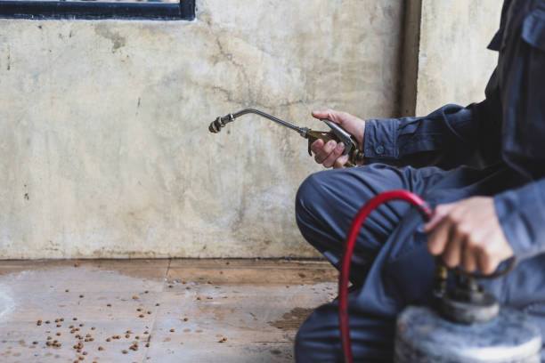 Wasp Removal Services in Fayette, OH